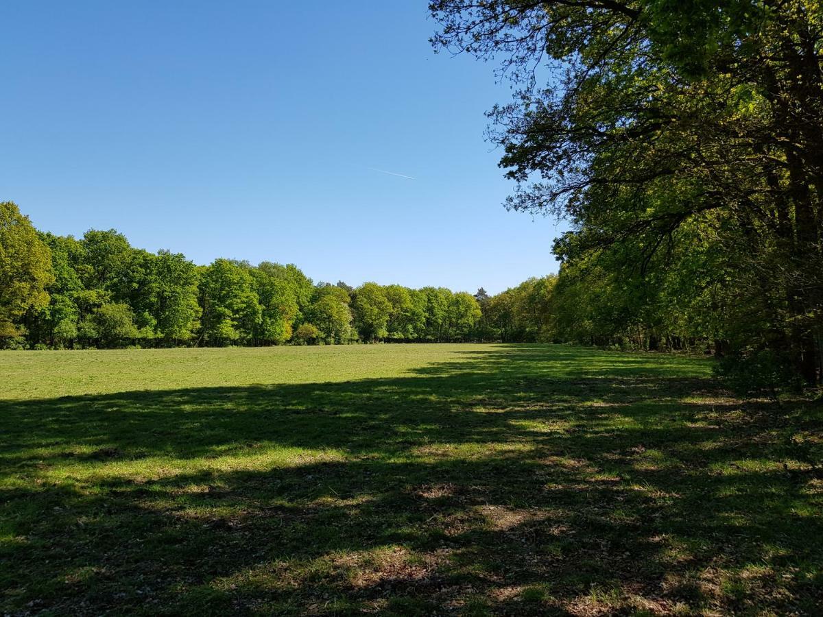 Knusse Bungalow Otterlo Veluwe Ngoại thất bức ảnh