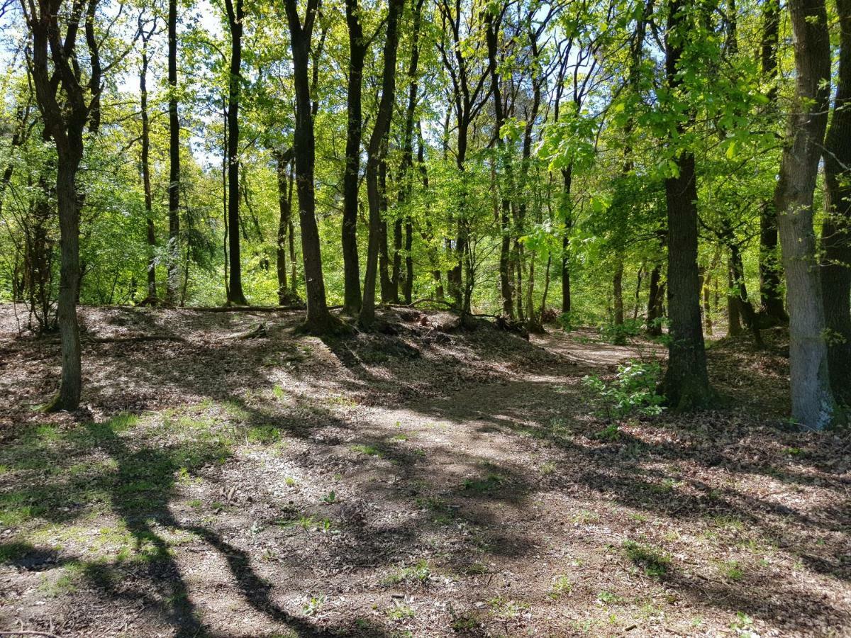 Knusse Bungalow Otterlo Veluwe Ngoại thất bức ảnh